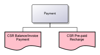 Payment